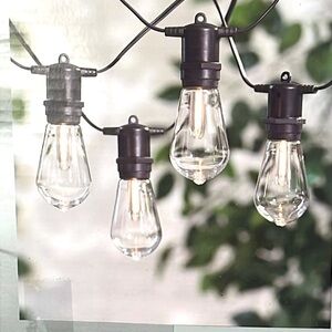 LED Filament Edison Outdoor Lights 10 ct String Black Wire House to Home